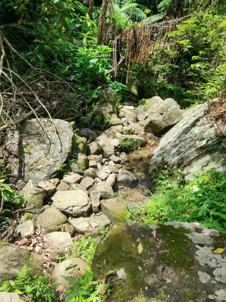 打鐵寮-草嶺山-白石山3043769