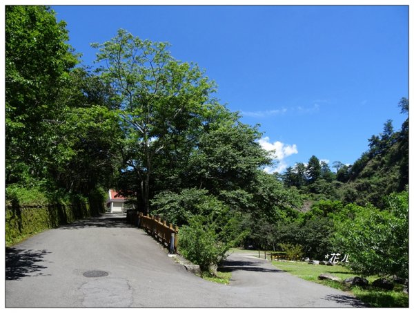 八仙山/天籟步道1006202