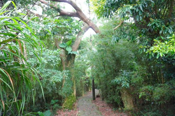 〔北投〕中正山，大屯山系 必訪步道2275007