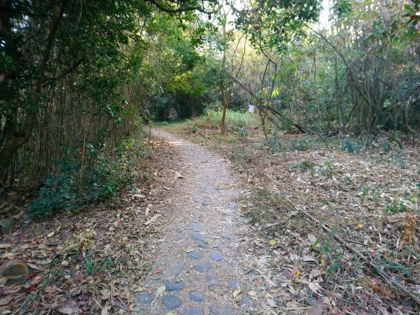 大坑步道全包一起登( 2 3維修)747619