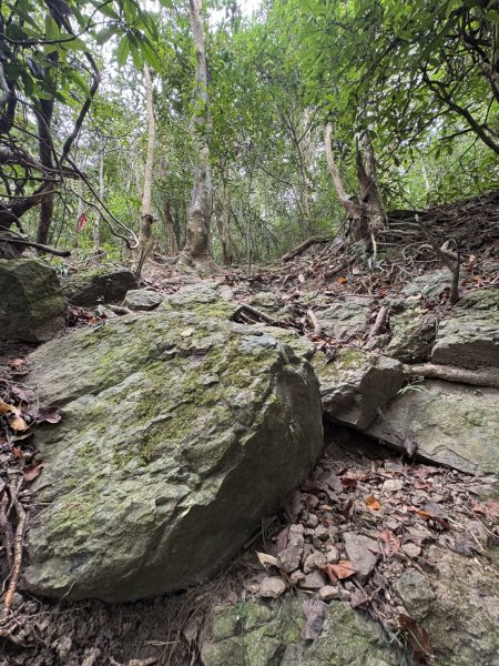 20251108白雲山步道2935191