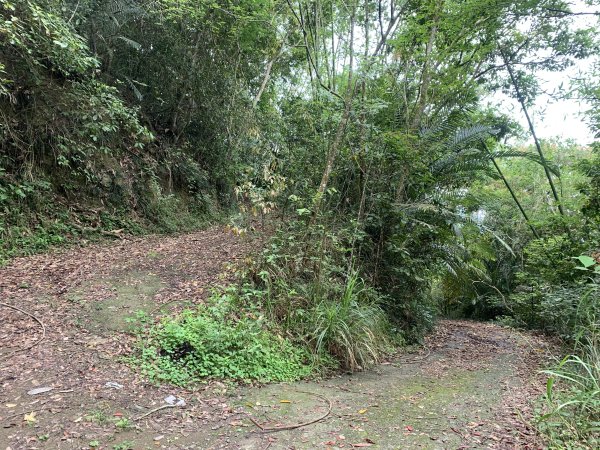 20240525高雄番子寮山-番子寮山主峰2517792