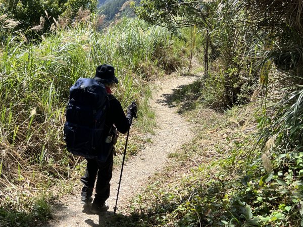 屏風山屋住一晚2916057