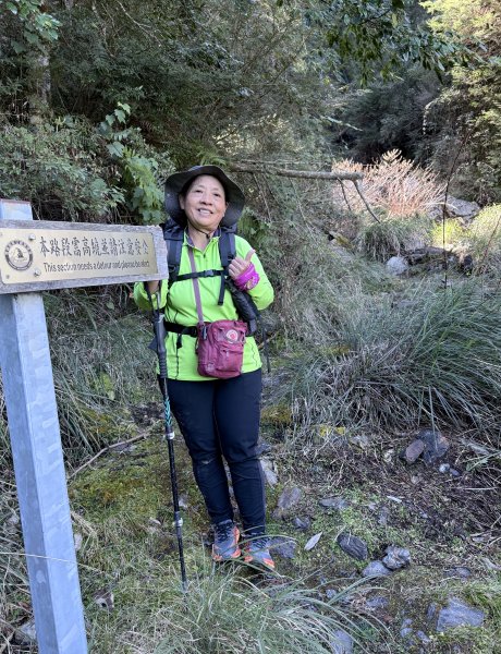 230林道糜爛去    2025.2.28-3.12733774