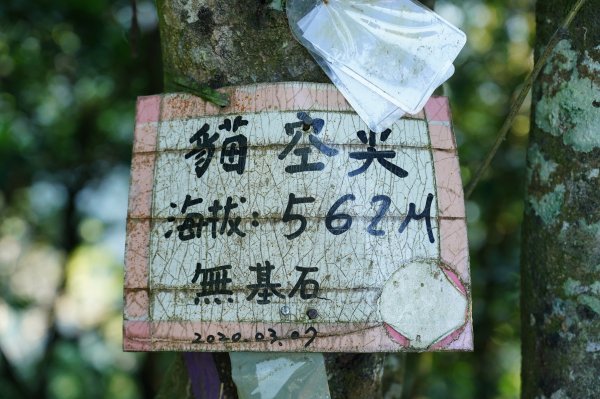 臺北 貓空圓山、貓空尖、十六分山、四面頭山、三玄宮山、鵝角格山、待荖坑山2585841