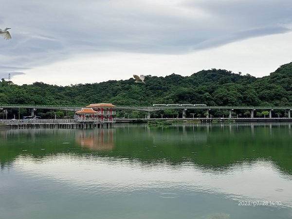 湖山六號公園、大湖公園、大港墘公園 2-2【走路趣尋寶】2263159