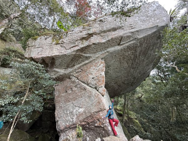 大坪祕境的奇岩2672545