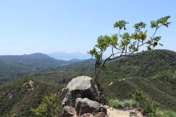 香港山系 － 九龍 • 新界934547