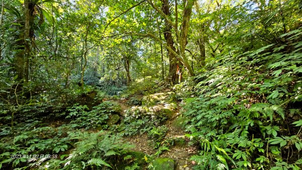 鹿母潭古道上竹坑山大O走2334629