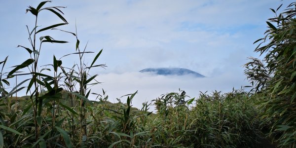 來七星山看雲海吧540202