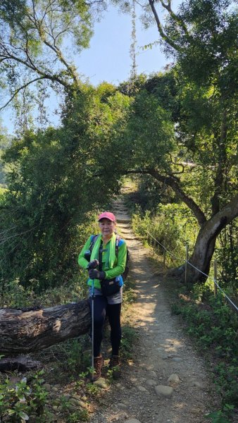 【田中】田中森林步道連走麒麟山2722584