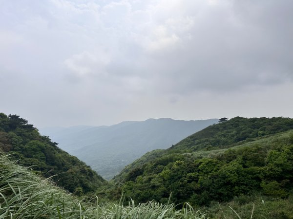 臺北大縱走第三段 小油坑》風櫃嘴2478302