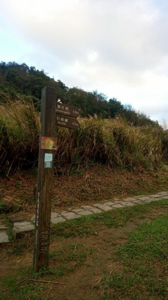 陽明山東西大縱走，下次再把西段走完1963563