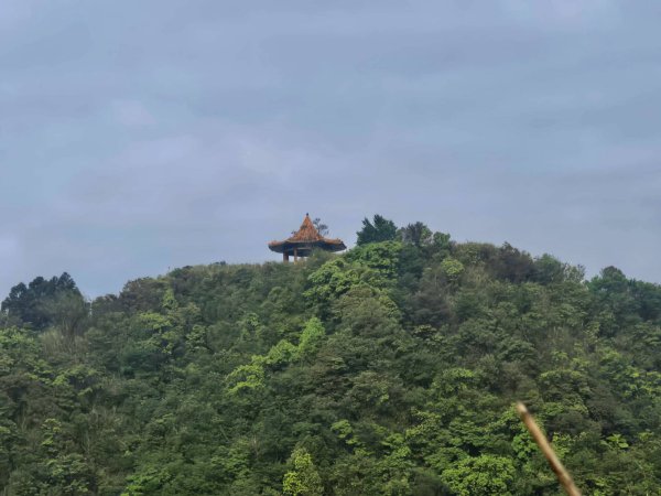雨後，五分之美，十分愜意