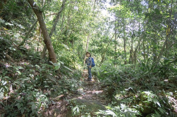 闊瀨古道-沿北勢溪谷而行的夏末之旅（淡蘭古道）2287637