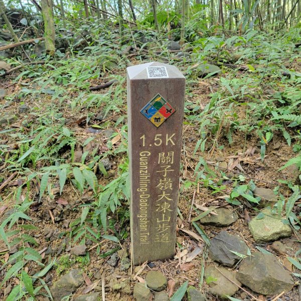 關仔嶺大凍山（小百岳）2305833