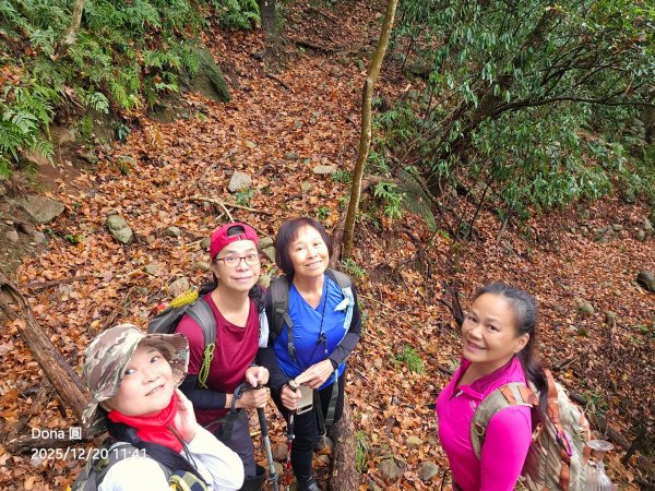 20251220上谷關山縱走四連峰2974336