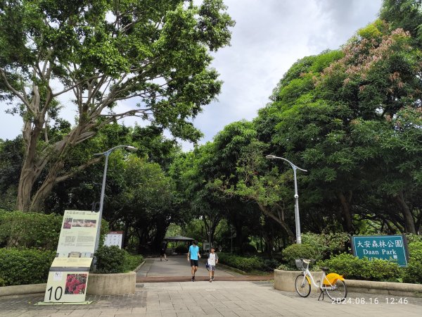 大安森林公園、永康公園、大港墘公園 - 內科嘉年華會 戲曲•特技之夜2577768