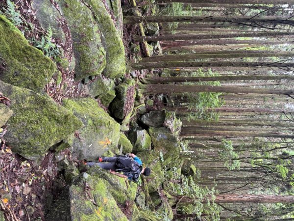 20250607 春谷養鱒場所上加里山 出大坪2805218