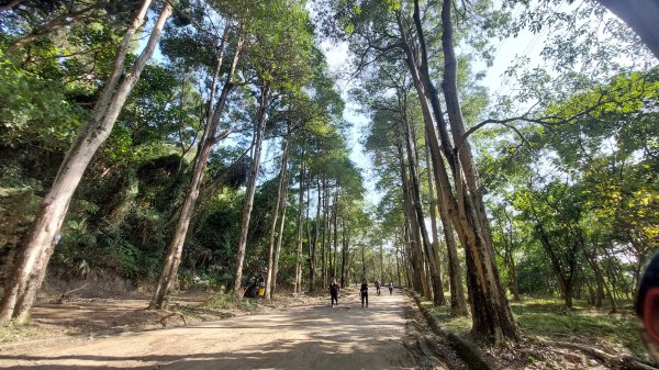 20240101~咬人狗坑登山步道(三汀山+埤頭山)2391755