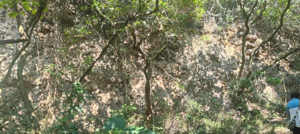 高雄壽山、半屏山2943057