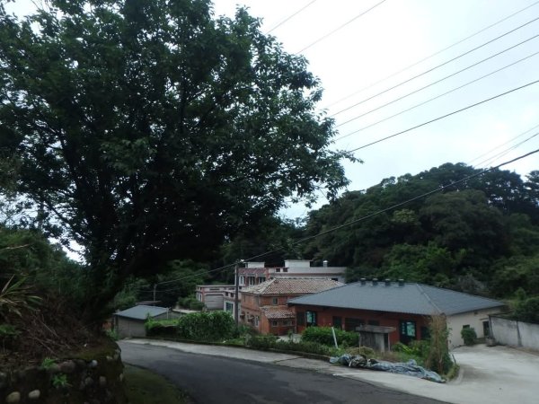 1070614茶山步道3099458