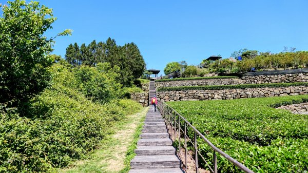 二延平步道。貿易戰2764951
