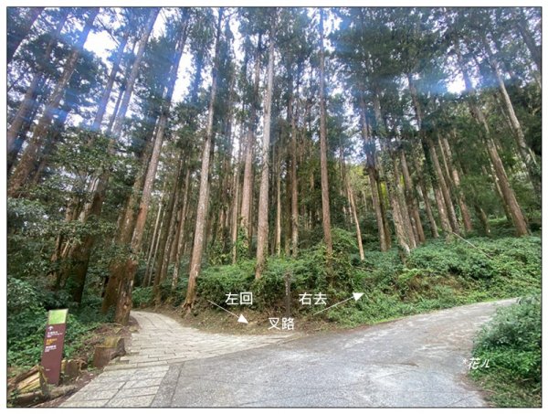 大凍山、頂湖步道 O型ㄧ圈2984150