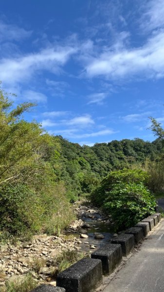 2025草嶺古道2970581