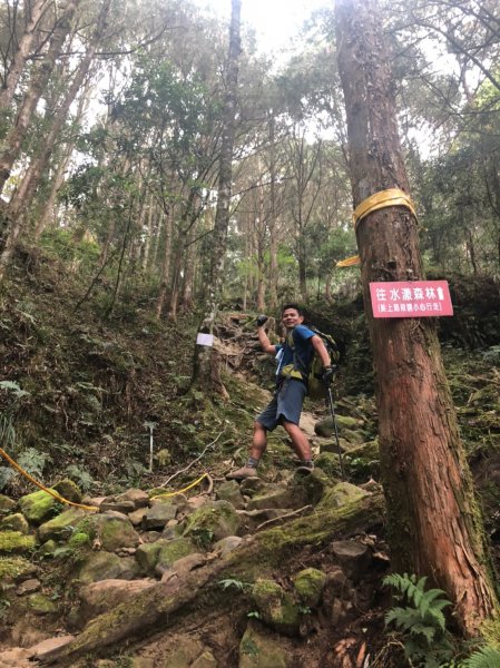 鹿屈山.水漾森林1405016