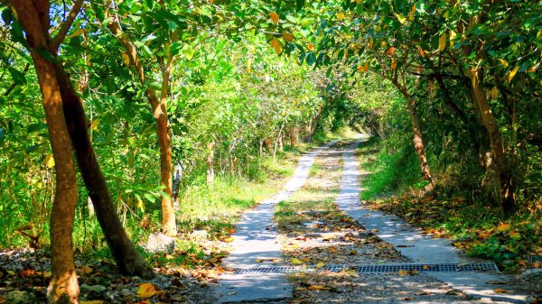 左營半屏山2954324