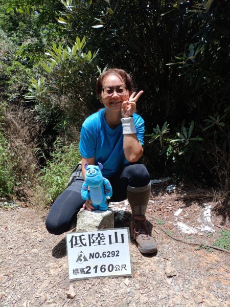 低陸山-嘎拉賀神木1765096