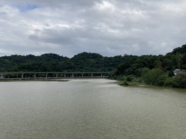 人鳥熱鬧滾滾的大湖公園、聖誕樹色彩繽紛的湖光基督教會【走路趣尋寶】1927537