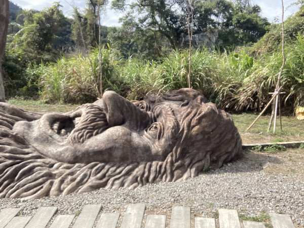 雪山坑環線步道2991147