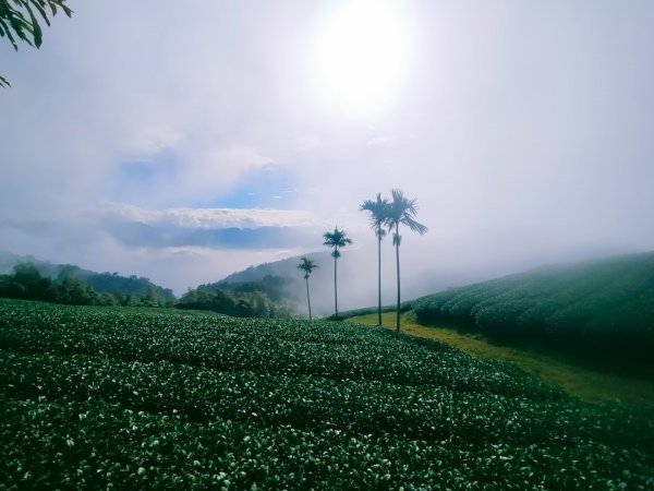 雲嘉連峰2365683