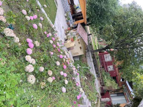 川藏深度之旅33天/A行程2902810