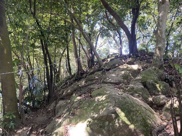 2025微笑山線大縱走尋寶集章任務-Ep.03【鳶山山系】鳶山彩壁段2893683