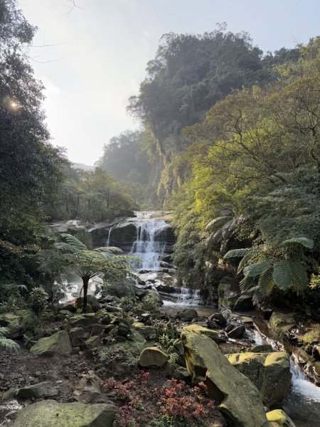 2025/02/17 姜子寮絕壁瀑布 姜子寮山2908679