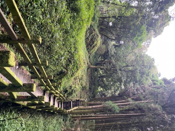 奮起湖-大凍山步道1140533