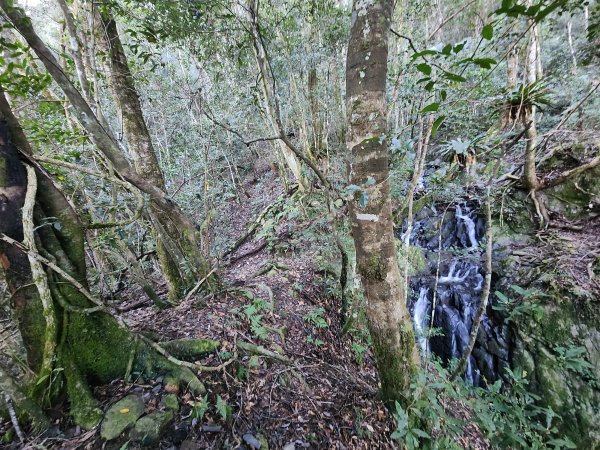 20241124布奴加里山2679114