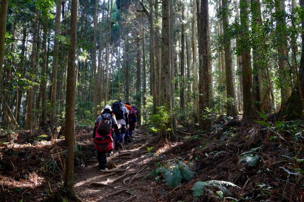 新竹尖石鄉 高島縦走1280678