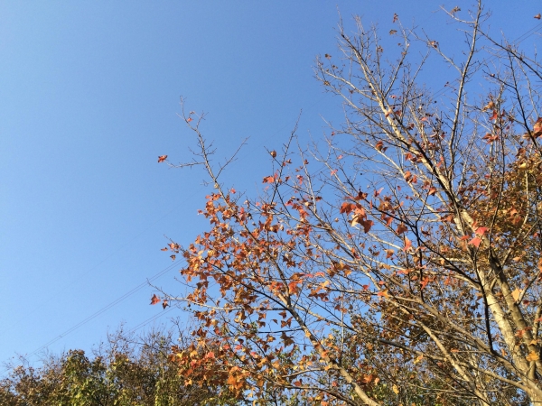 山岳之美 塔曼踏雪8388