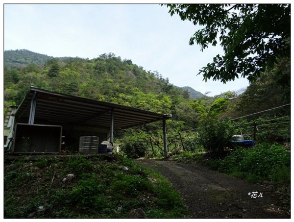 裡冷山、裡冷山南峰 ( 台中、和平 )1645810