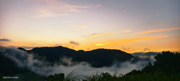 跟著雲海達人山友追雲趣 #草莓月亮 #月圓雲海 #霞光 #日出雲海 #茶園 6/112808778