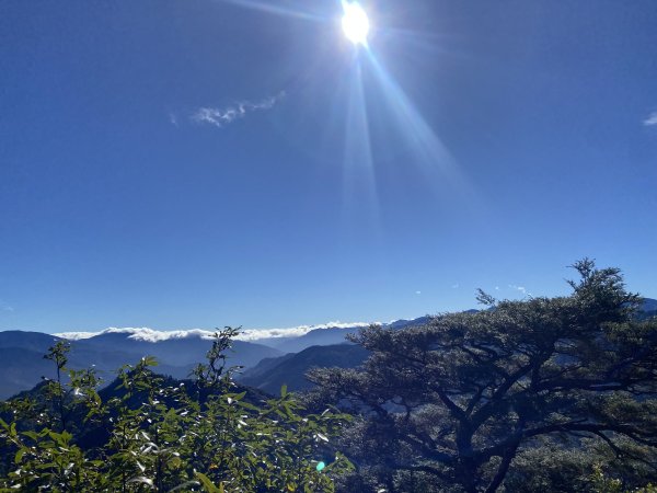 114.11.16 北得拉曼追黃金山毛櫸2937925