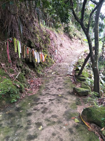 2019 06 04 石牛山步道597149