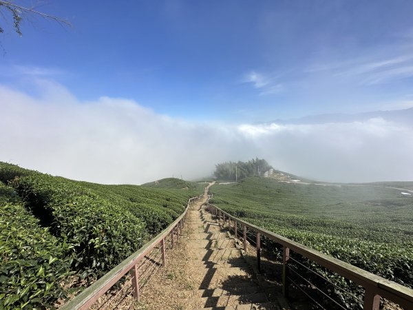 雲嘉十八連峰1932623