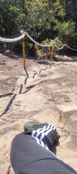 內湖金面山22690010