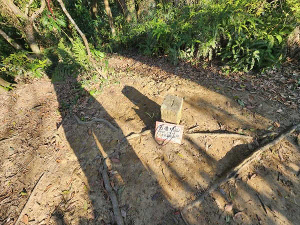 20250323慈湖草嶺山 ~ 五寮尖2781017