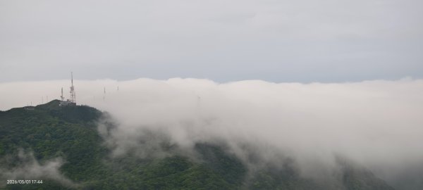 #大屯山 #雲瀑（過山雲）#夕陽 #月圓 #霧虹 5/1&63044809